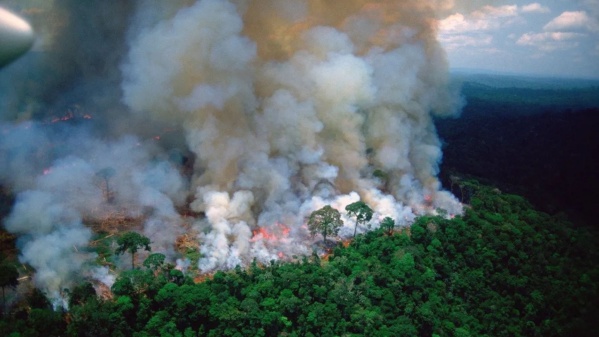 Una nube tóxica causada por los incendios en el Amazonas pone en peligro a miles de personas