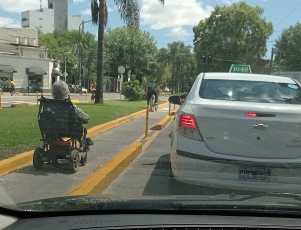 "Todo muy normal en La Plata": La imagen que recorre las redes