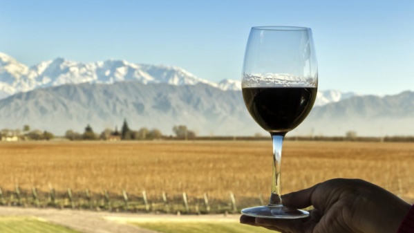 En 2021, Argentina alcanzó un récord histórico de exportación de vino