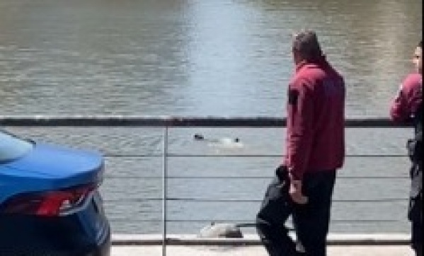 ¡Increíble! Detuvieron a un joven en Puerto Madero e intentó escaparse saltando al rio esposado