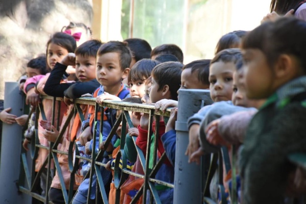 Furor por el Bioparque de La Plata: ya son 400 las instituciones educativas inscriptas para visitarlo