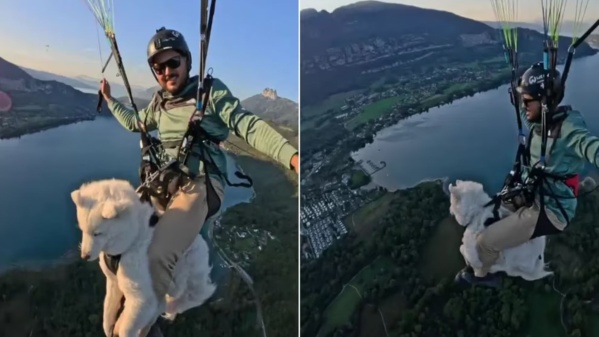 Un famoso influencer saltó con su perro en paracaídas, el animal no reaccionó cómo se esperaba, y fue criticado en las redes