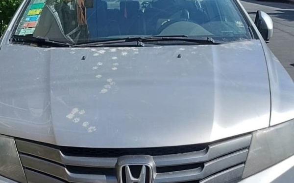 Encontraron a un hombre sin vida en pleno centro de La Plata