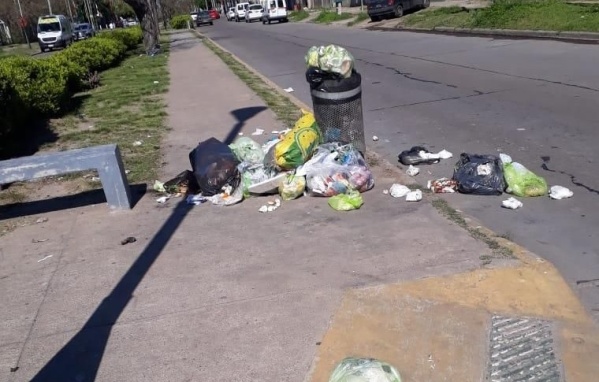 La acumulación de bolsas de basura, la problemática de los vecinos de Tolosa