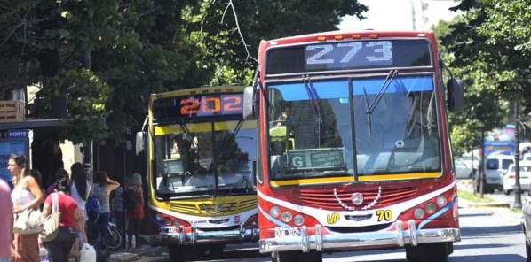 Denuncian que el micro 273 viaja "lleno de gente y sin respetar protocolos"