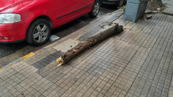 Reclaman que se retire un tronco caído en la vereda de 11 y 45