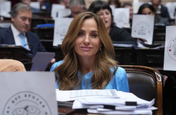 Tolosa Paz cuestionó la ausencia de Lugones y el interventor del ANDIS en el Congreso: "Otra muestra del desprecio"