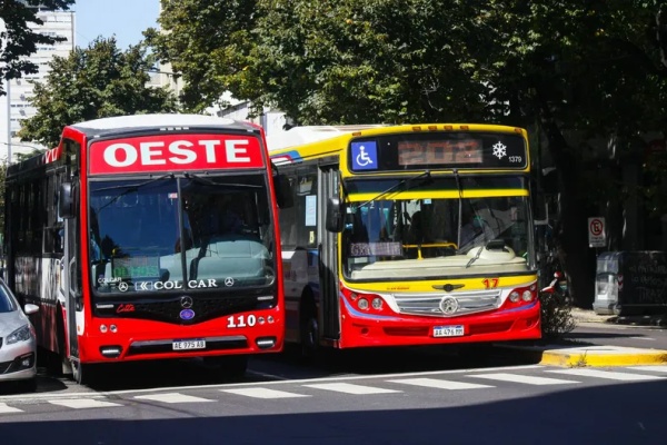 Una mujer platense que está en silla de ruedas denunció a un chofer de línea 202: "No quería llevarme"
