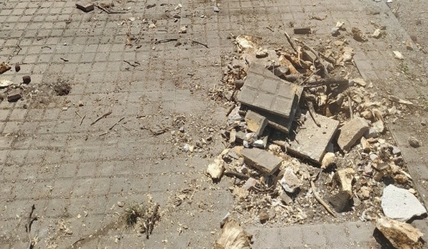 Mal estado de las veredas y restos de árboles: la molestia de los vecinos de 6 y 45