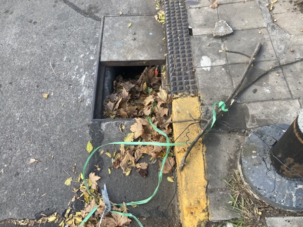 &ldquo;Nadie nos escucha y esto es un desastre&rdquo;: El enojo de los vecinos del casco platense