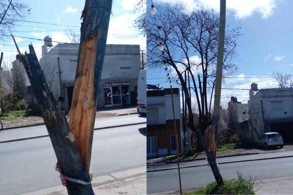 Una vecina de Los Hornos denunció que hace más de tres meses que hay dos postes por caerse: “Estoy cansada de reclamar”