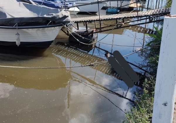 Un hombre apareció flotando sin vida en el Club Náutico de Ensenada e investigan la causa de su muerte