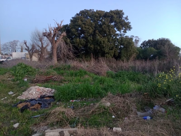 Vecinos de la calle 145 denuncian una invasión de ratas