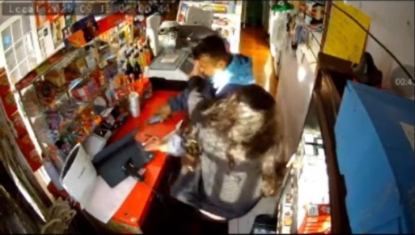 Detuvieron a un hombre luego de robar un kiosco en Punta Lara