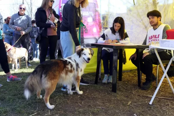 Jornadas de vacunación veterinaria en distintas localidades de La Plata