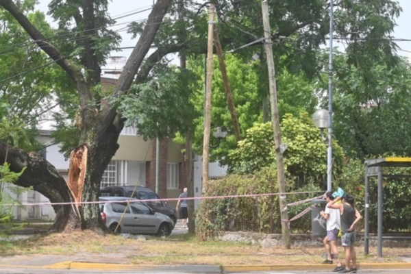 El temporal en La Plata dejó como saldo árboles caídos y fuertes vientos: a qué hora llegan las lluvias y el alivio