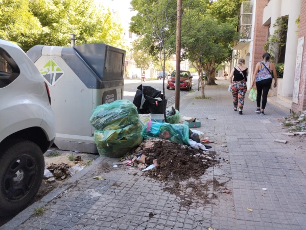 "Está el contenedor y tiran toda la basura afuera": en 45 entre 11 y 12 piden que se mantenga mejor la cuadra