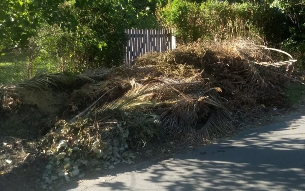 Reiterado reclamo de los vecinos de Villa Elisa por la acumulación de ramas