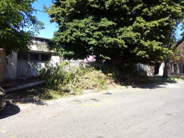 Limpiaron un terreno y dejaron la vereda tapada de residuos en 22 entre 33 y 34