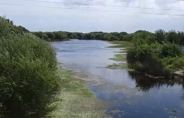 Vecinos de Ignacio Correas llevarán a cabo una jornada de Limpieza del arroyo El Pescado