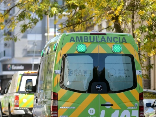 Una joven fue atropellada en La Plata tras correr a su perro que se había escapado
