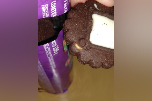 Una pareja de La Plata se compr&oacute; un paquete de galletitas y vinieron llenas de gusanos