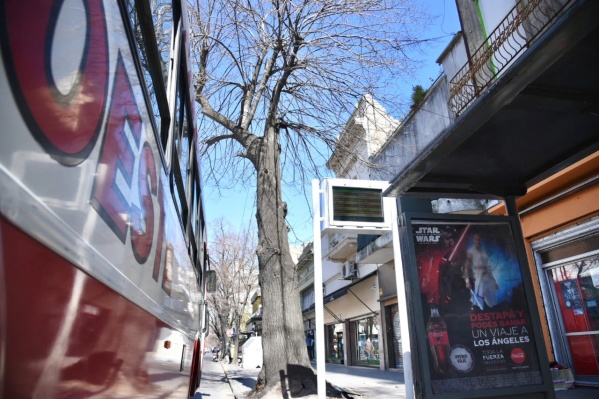 Desde el miércoles, modifican paradas de micros en Avenida 1 por una semana: estos son los cambios