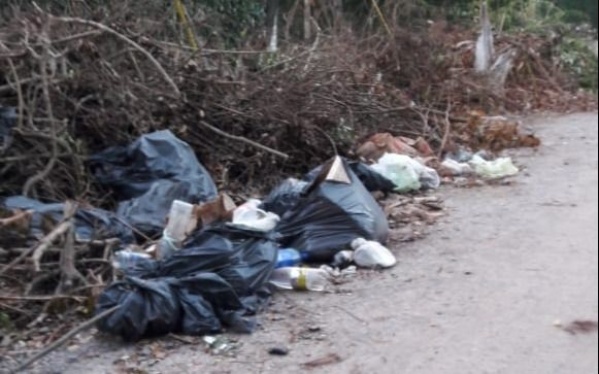 Vecinos de Villa Elisa reclaman por el “colapso de ramas y residuos”