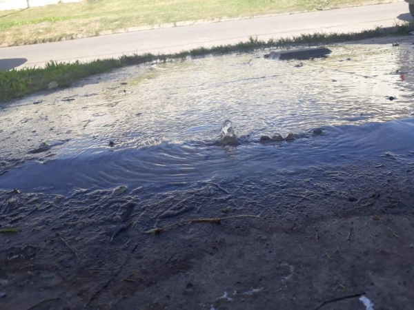 “Mi auto queda en la calle porque la pérdida de agua me impide entrarlo”: desesperado reclamo de un vecino de Los Hornos