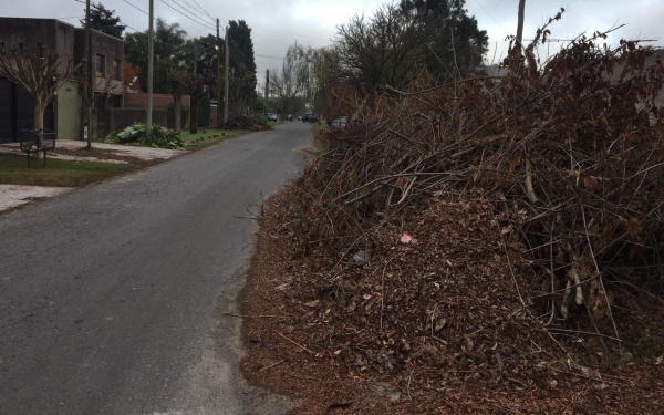 Una enorme montaña de hojas y ramas incomoda a los vecinos en City Bell