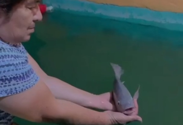 “Te quiero mucho señora que juega con su pez”: la emotiva despedida de una abuela a su querida mascota