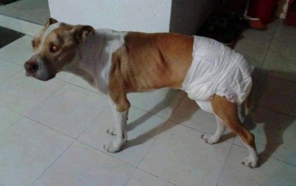 Dec&iacute;a ser platense y ped&iacute;a dinero por una buena causa pero la descubrieron: &ldquo;Algo me sonaba raro&rdquo;