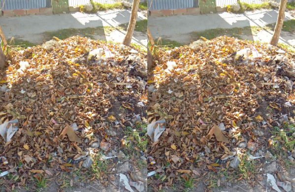 Vecinos de Berisso se quejaron por la cantidad de basura acumulada