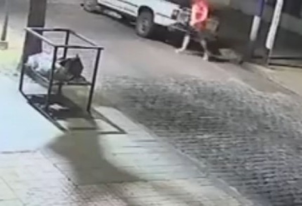 Robaron una camioneta en La Plata y el hecho quedó registrado por cámaras de seguridad