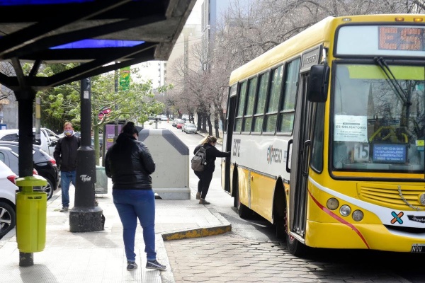El domingo el transporte público funcionará de manera gratuita en La Plata para facilitar el proceso electoral