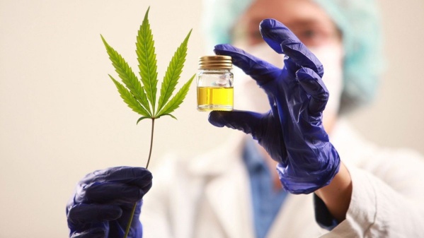 Dictarán en La Plata el primer posgrado en Prescripción e Investigación de Cannabis Medicinal