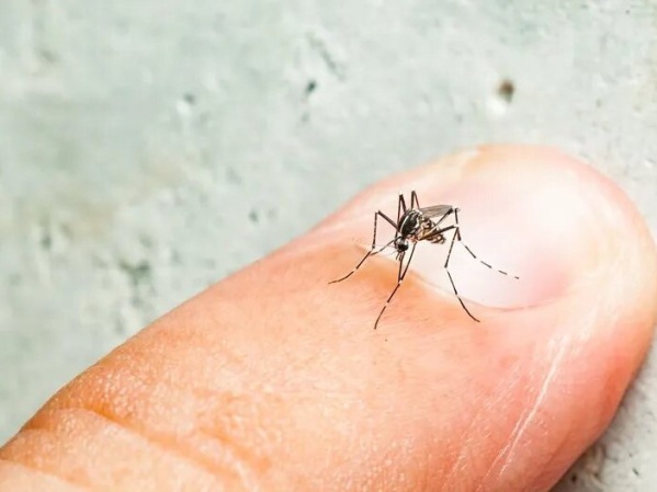 Aumentaron a 161 los muertos y ya hay más de 200 mil infectados por el brote de dengue