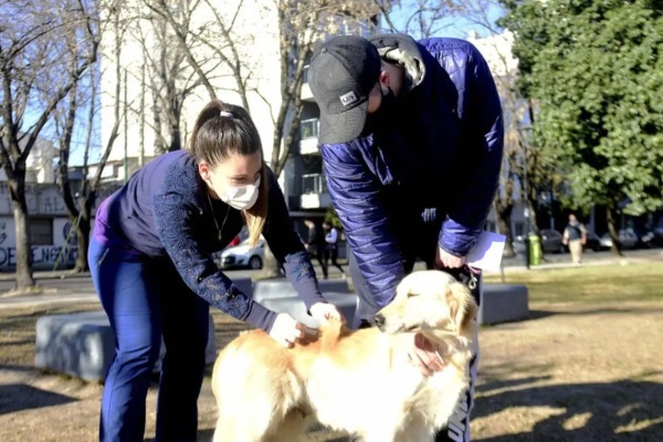 Se realizará una jornada de vacunación gratuita para perros y gatos en La Plata, ¿Cuándo será?
