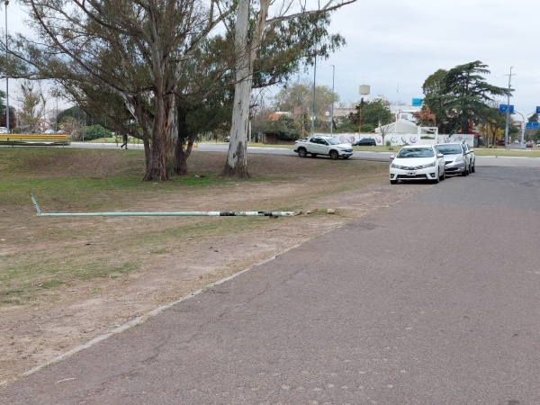 Un grupo de delincuentes tiró varios postes y robó las luces cerca de un establecimiento educativo en La Plata