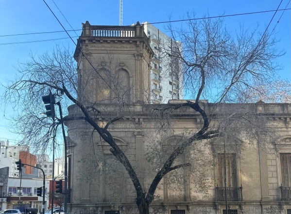 En 5 y diagonal 79 se quejan de las ramas y exigen que “poden el árbol”
