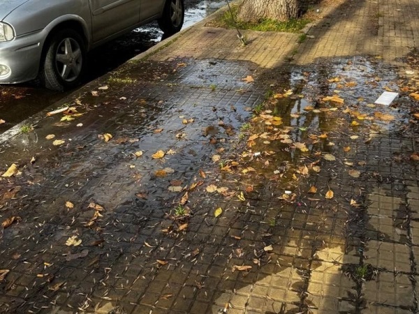 Una pérdida de agua tiene a maltraer a los vecinos de 18 y 41, ya generó verdín y se transformó en un "peligro"