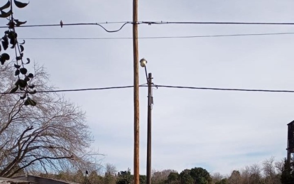 Vecinos de Villa Elisa reclaman por una cuadra totalmente a oscuras