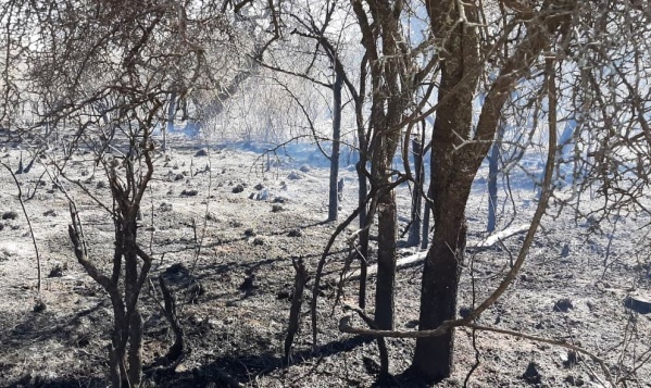 El Gobierno de Córdoba informó que están controlados los incendios en la provincia: bomberos trabajan en las zonas afectadas