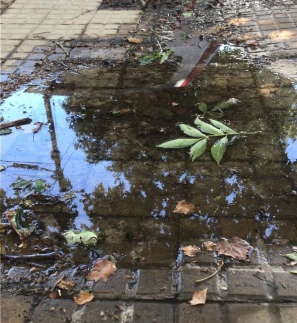 Vecinos reclaman por perdida de agua en 16 y 40