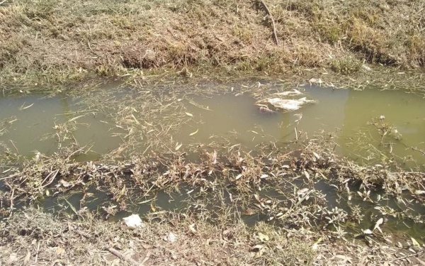 Vecinos del El Peligro se quejan de una zanja con agua estancada con mal olor que puede ser un foco infeccioso