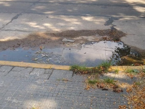 Piden que reparen una pérdida de agua en la zona de Plaza Belgrano