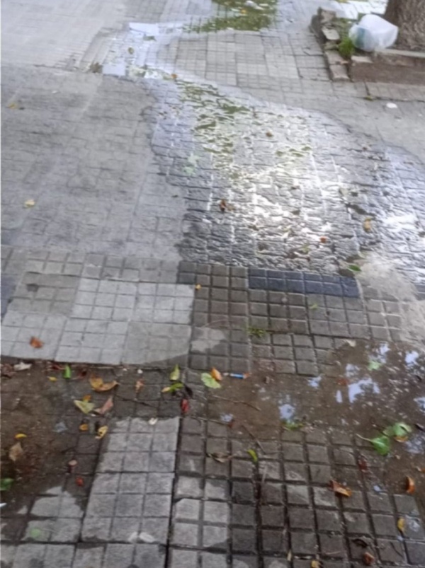 Vecinos se quejaron de tres pérdidas de agua en una misma vereda en La Plata