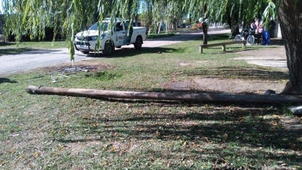 Dos hombres intentaron robar un poste de luz en Berisso y los detuvieron
