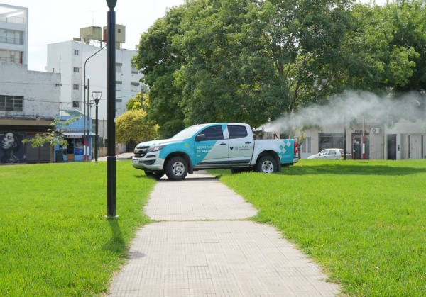 Ola de mosquitos en La Plata: el municipio explicó los motivos y lamentaron la falta de fumigación en octubre y noviembre