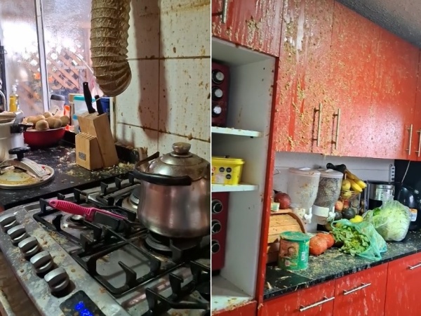 Preparaba un guiso con una olla a presión y una distracción lo arruinó: "Tengo lentejas por todos lados"